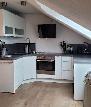 Apartment Schwarzwaldmaedel Friedenweiler Eksteriør billede