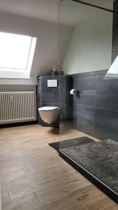 Apartment Schwarzwaldmaedel Friedenweiler Eksteriør billede