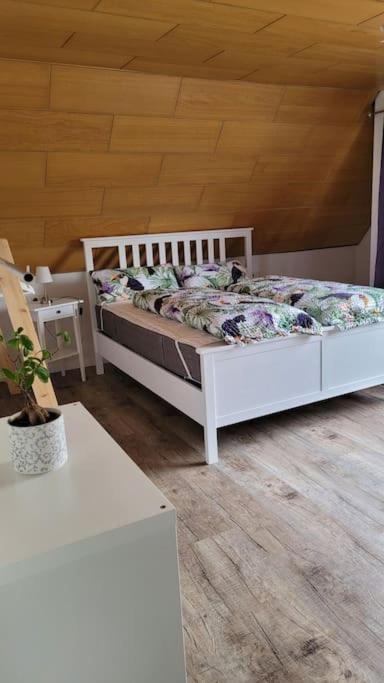 Apartment Schwarzwaldmaedel Friedenweiler Eksteriør billede