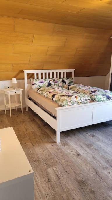 Apartment Schwarzwaldmaedel Friedenweiler Eksteriør billede